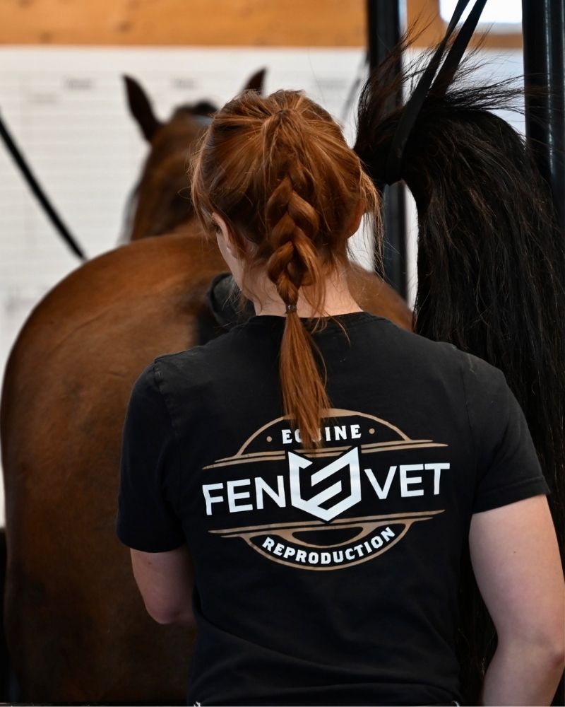 Fenvet staff wearing their tshirt